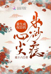 重生成权臣的心尖朱砂痣封面